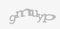 Защитный код